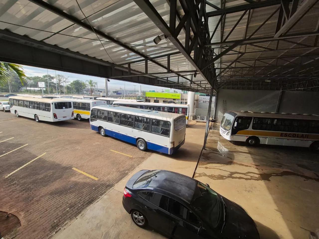 Alugar Comercial / Galp&atilde;o  Barrac&atilde;o em Ribeir&atilde;o Preto R$ 55.000,00 - Foto 3