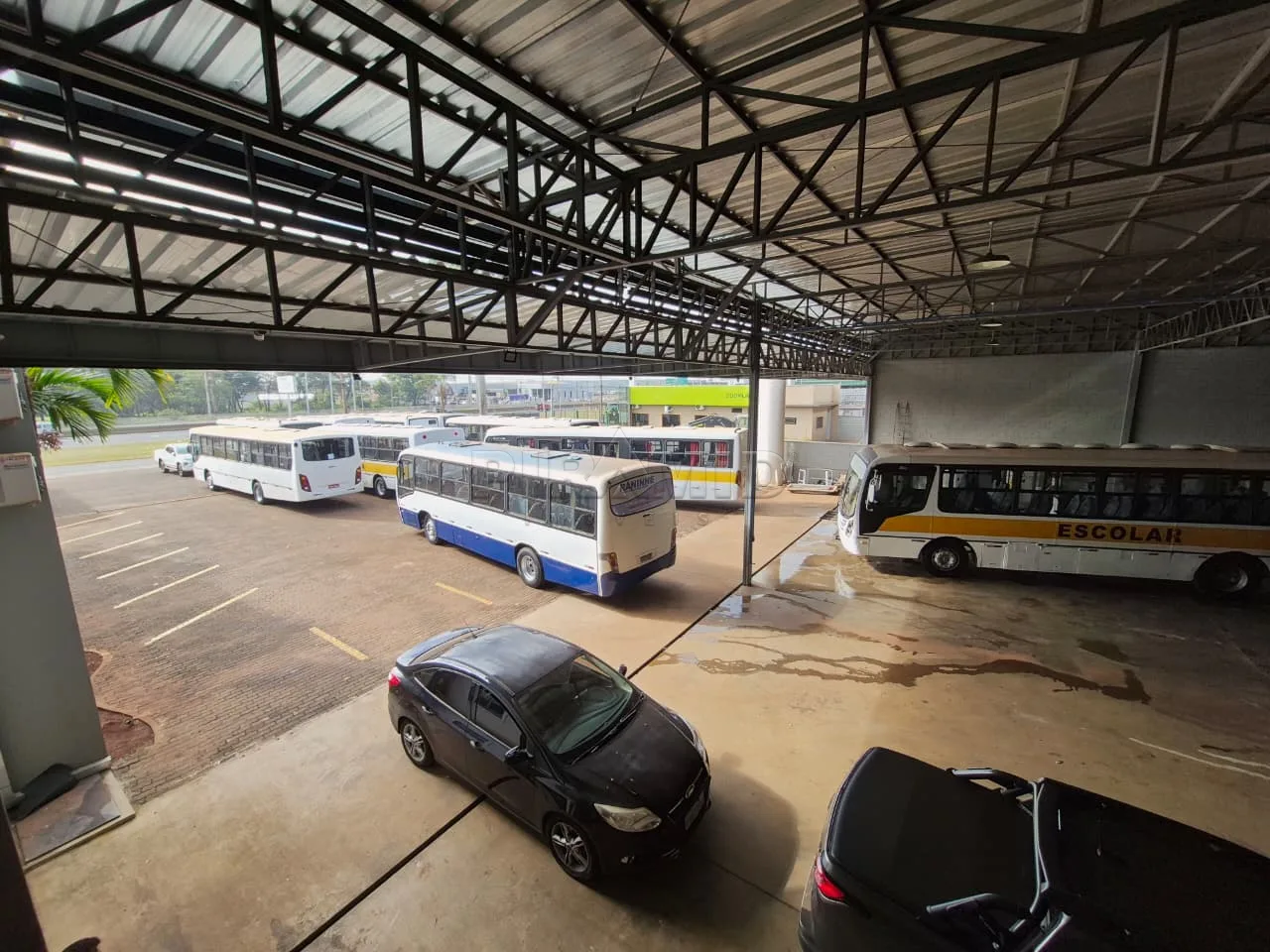Alugar Comercial / Galp&atilde;o  Barrac&atilde;o em Ribeir&atilde;o Preto R$ 55.000,00 - Foto 4