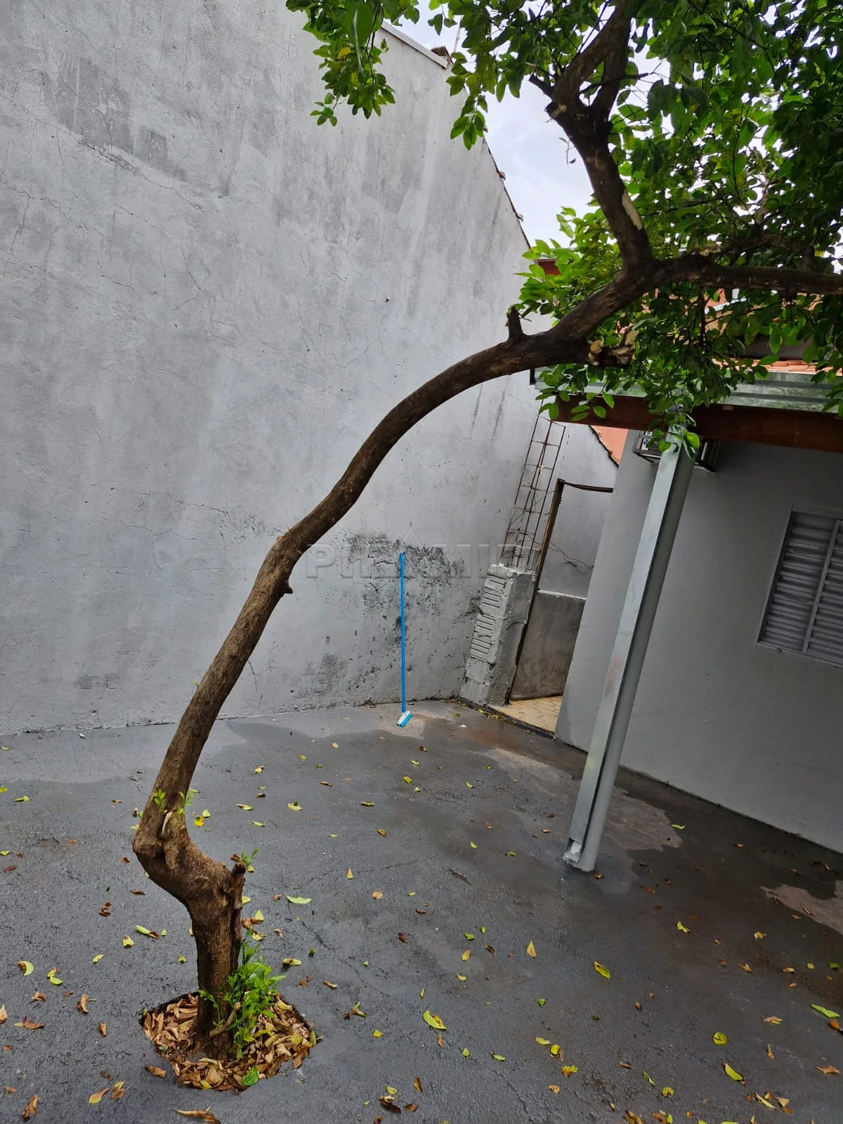 Alugar Casa / Padr&atilde;o em Ribeir&atilde;o Preto R$ 1.650,00 - Foto 10