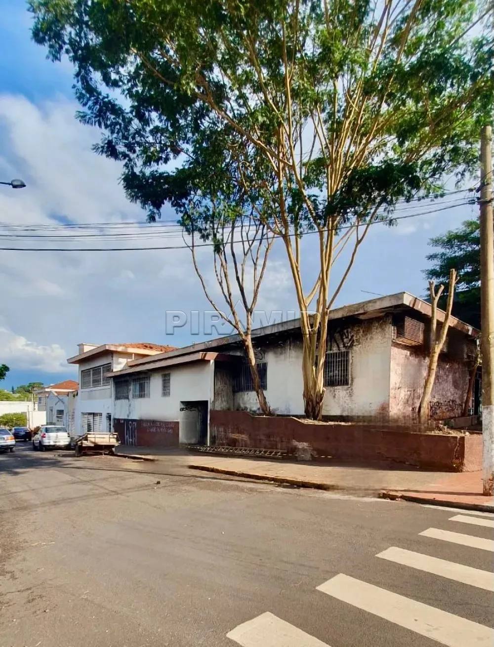 Alugar Comercial / Casa em Ribeir&atilde;o Preto R$ 4.500,00 - Foto 1