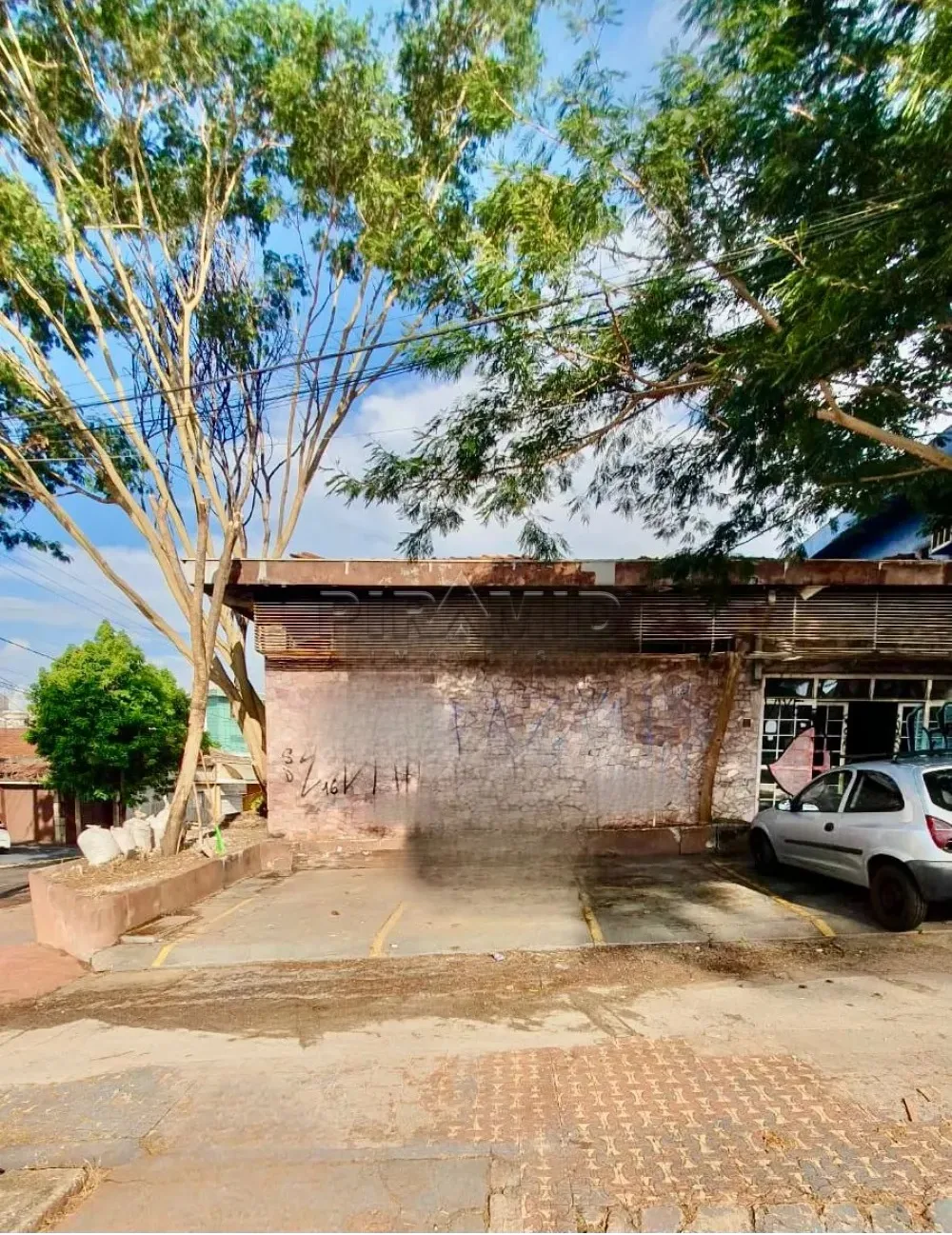Alugar Comercial / Casa em Ribeir&atilde;o Preto R$ 4.500,00 - Foto 2