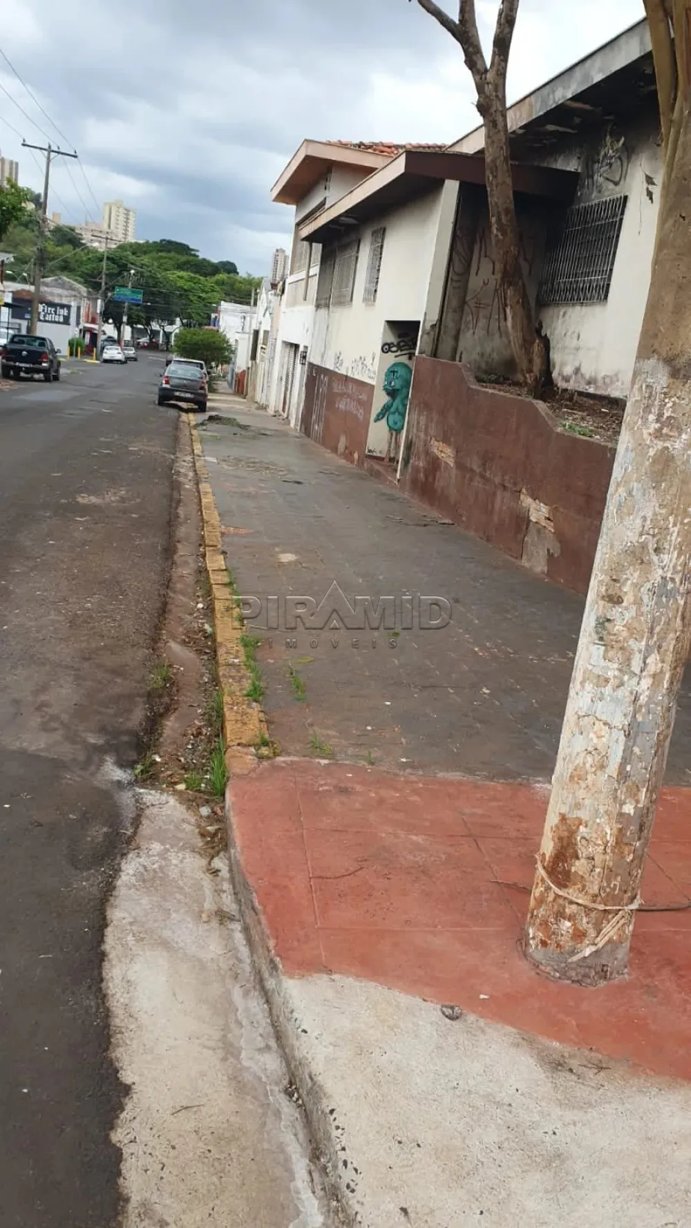 Alugar Comercial / Casa em Ribeir&atilde;o Preto R$ 4.500,00 - Foto 18