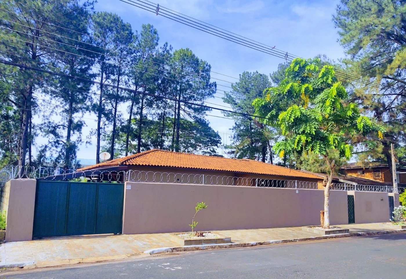 Alugar Casa / Padr&atilde;o em Ribeir&atilde;o Preto R$ 9.500,00 - Foto 1