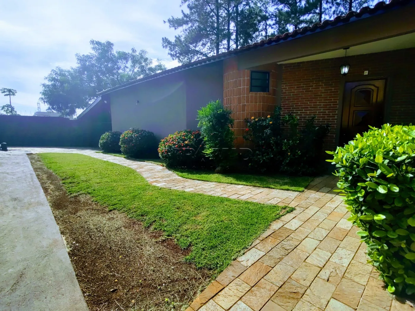 Alugar Casa / Padr&atilde;o em Ribeir&atilde;o Preto R$ 9.500,00 - Foto 5