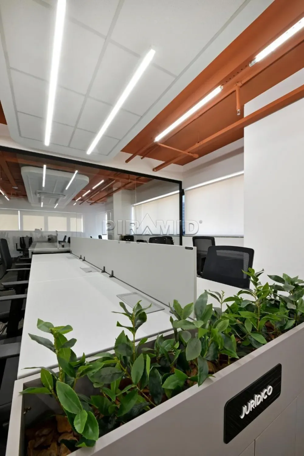 Alugar Comercial / Sala em Ribeir&atilde;o Preto R$ 25.000,00 - Foto 24