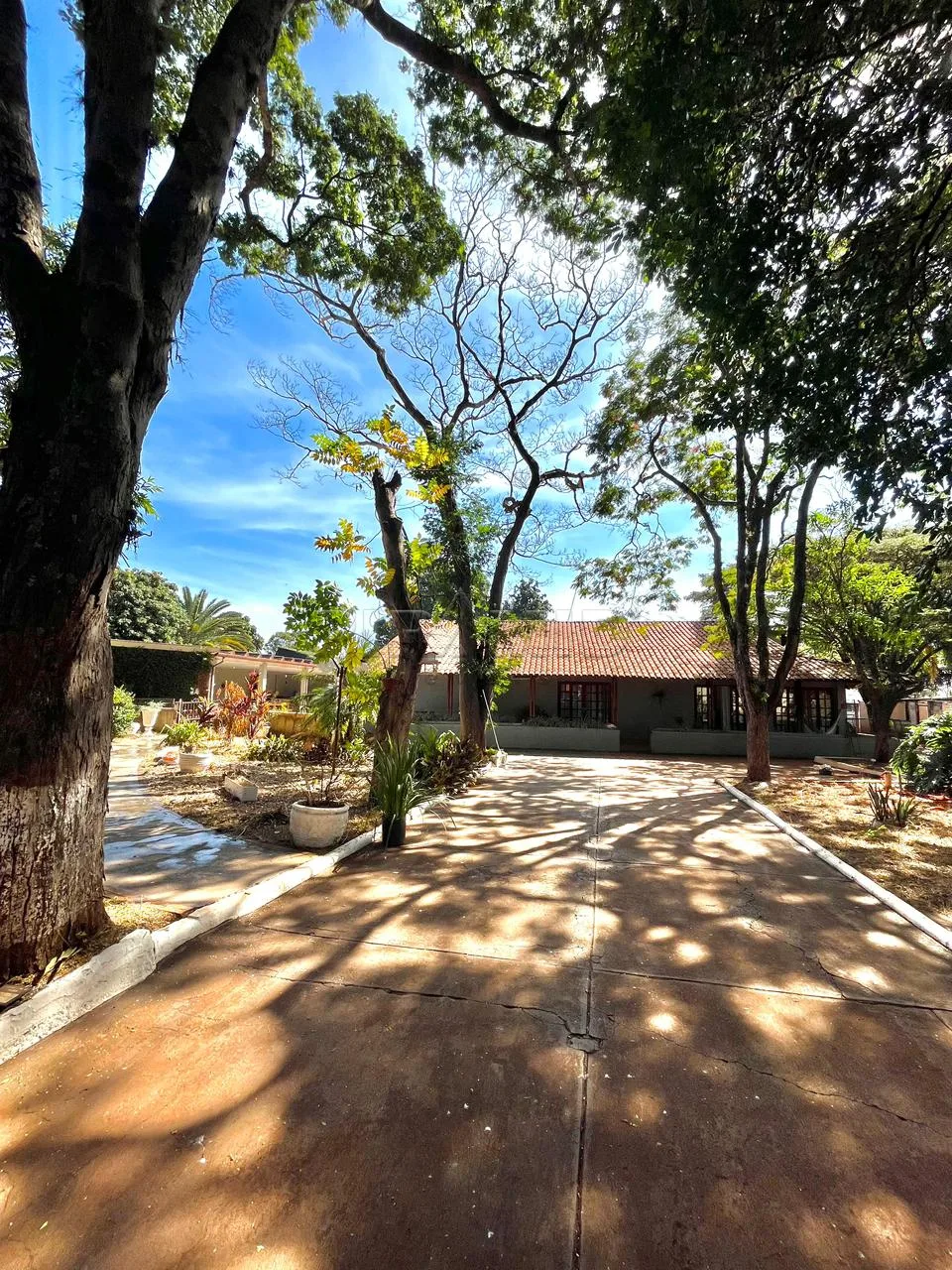 Comprar Rural / Ch&aacute;cara em Ribeir&atilde;o Preto R$ 1.200.000,00 - Foto 2