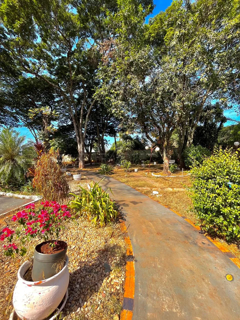 Comprar Rural / Ch&aacute;cara em Ribeir&atilde;o Preto R$ 1.200.000,00 - Foto 4