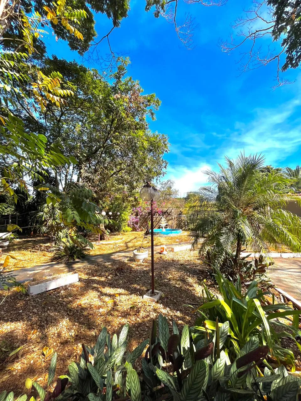 Comprar Rural / Ch&aacute;cara em Ribeir&atilde;o Preto R$ 1.200.000,00 - Foto 5