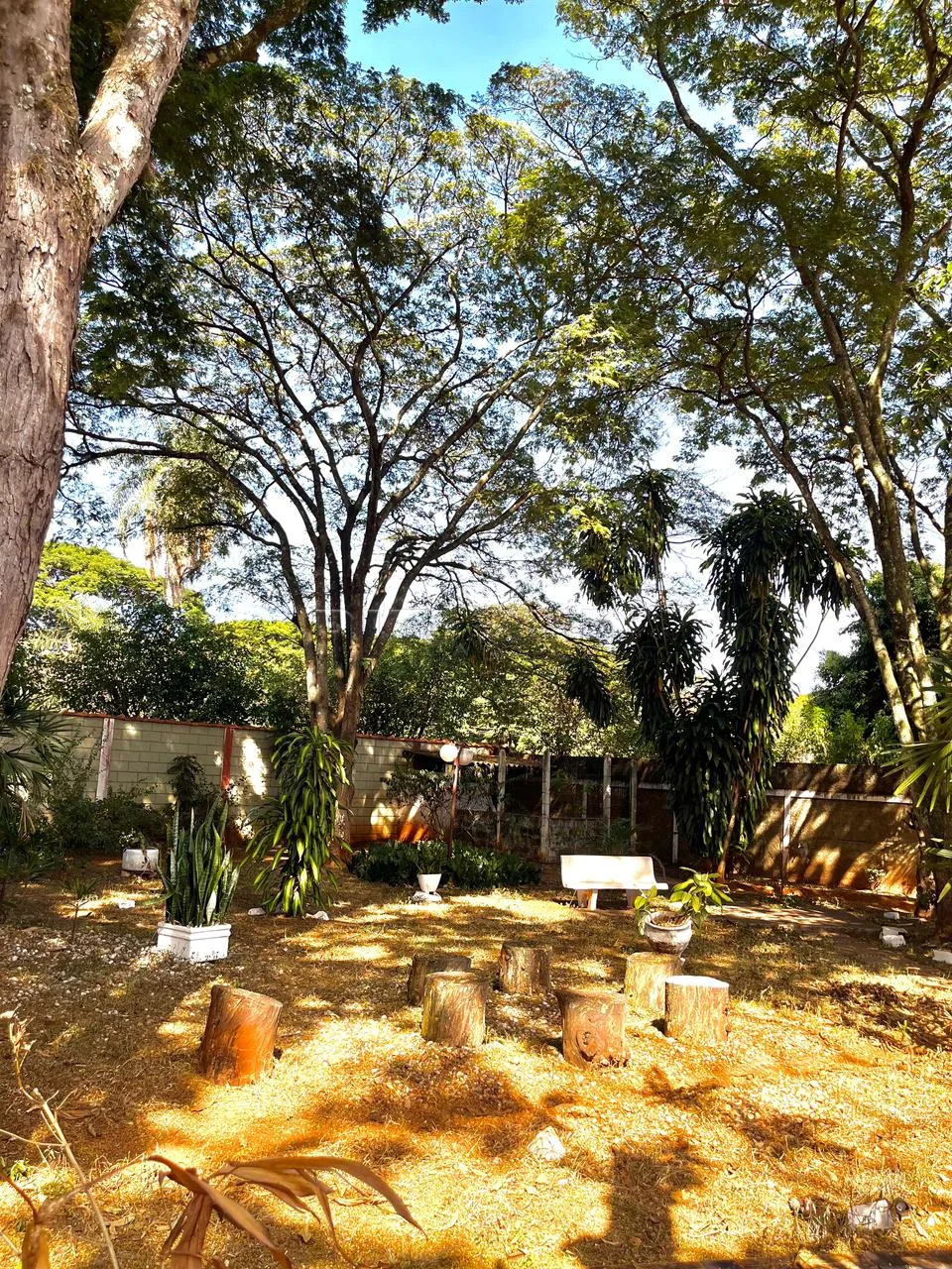 Comprar Rural / Ch&aacute;cara em Ribeir&atilde;o Preto R$ 1.200.000,00 - Foto 6