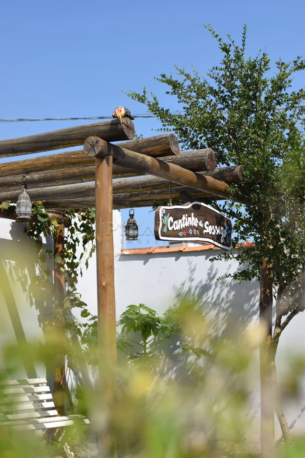 Comprar Rural / Ch&aacute;cara em Cajuru R$ 350.000,00 - Foto 11