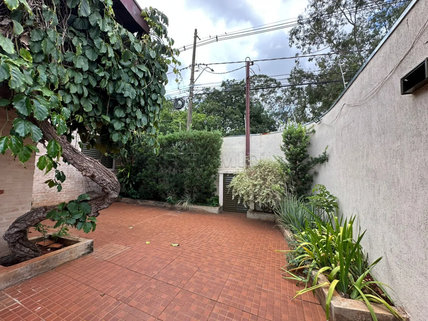 Alugar Casa / Padr&atilde;o em Ribeir&atilde;o Preto R$ 6.000,00 - Foto 9