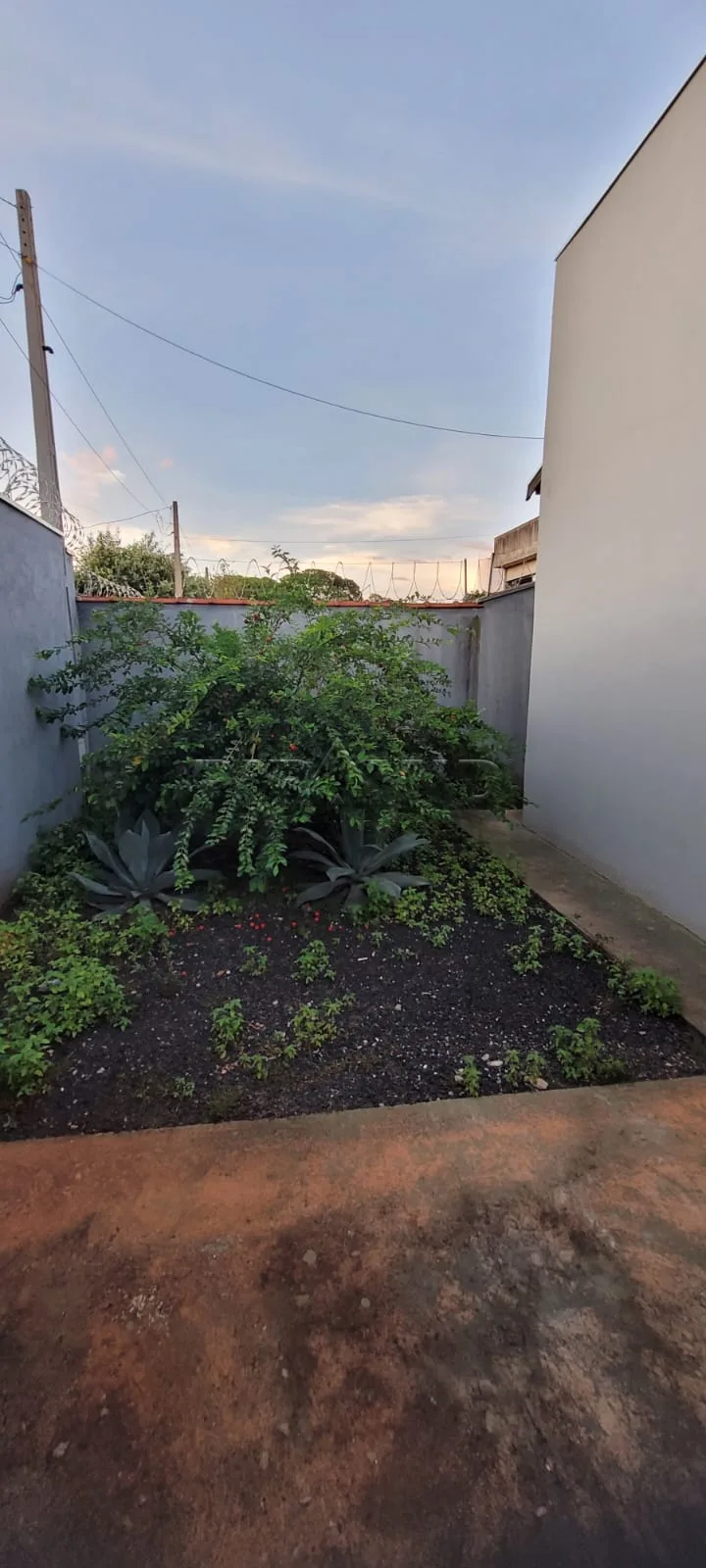 Alugar Casa / Padr&atilde;o em Jardin&oacute;polis R$ 1.000,00 - Foto 17
