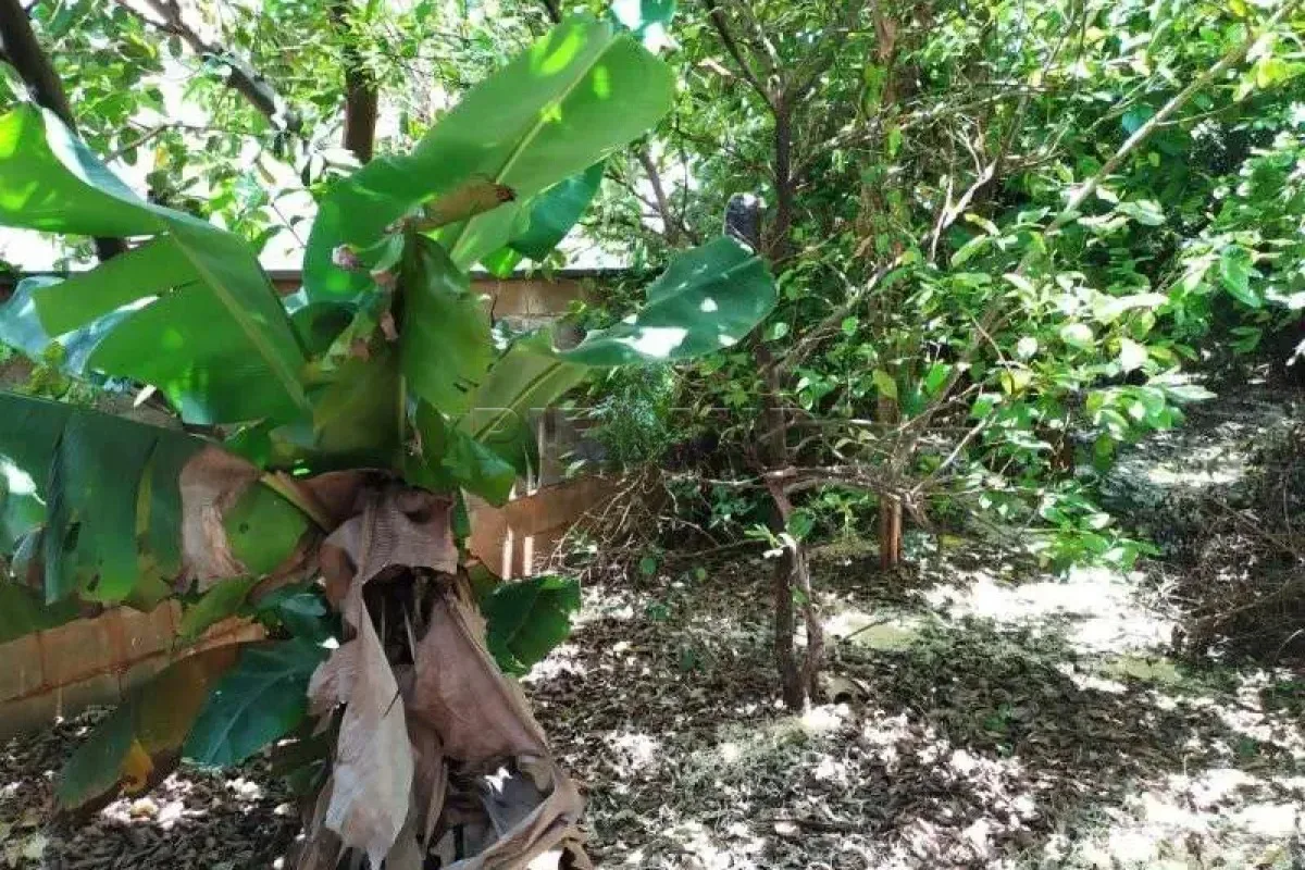 Comprar Casa / Padr&atilde;o em Ribeir&atilde;o Preto R$ 460.000,00 - Foto 12