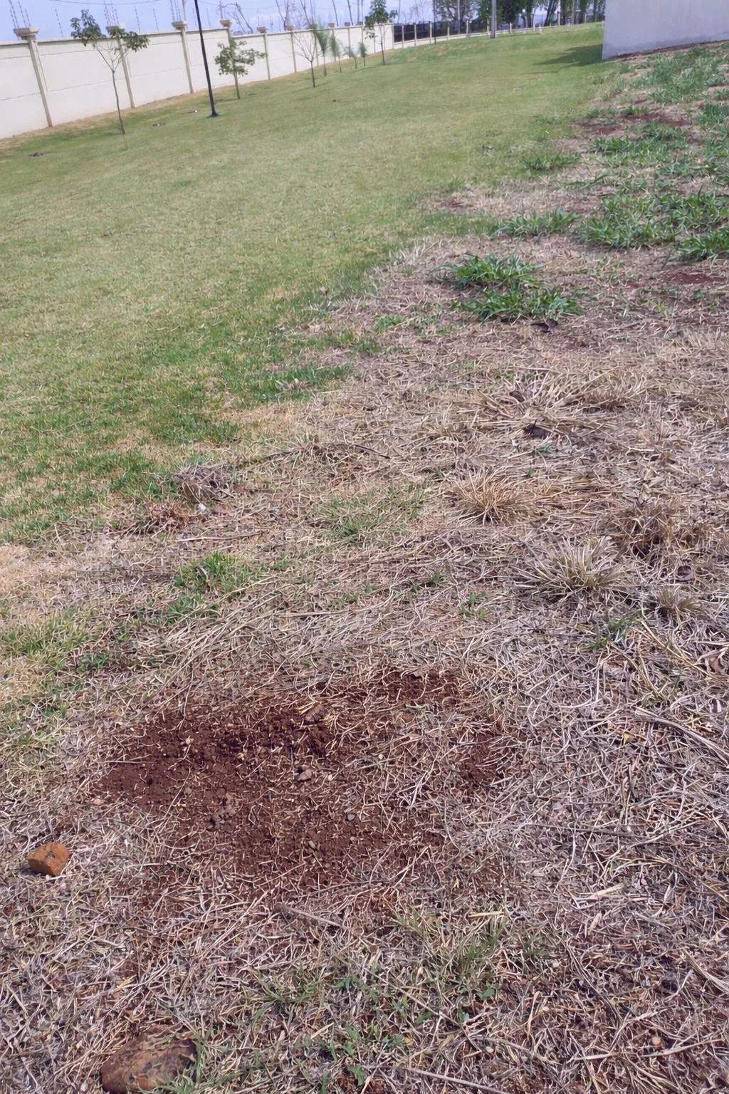 Comprar Terreno / Condom&iacute;nio em Ribeir&atilde;o Preto R$ 380.000,00 - Foto 2