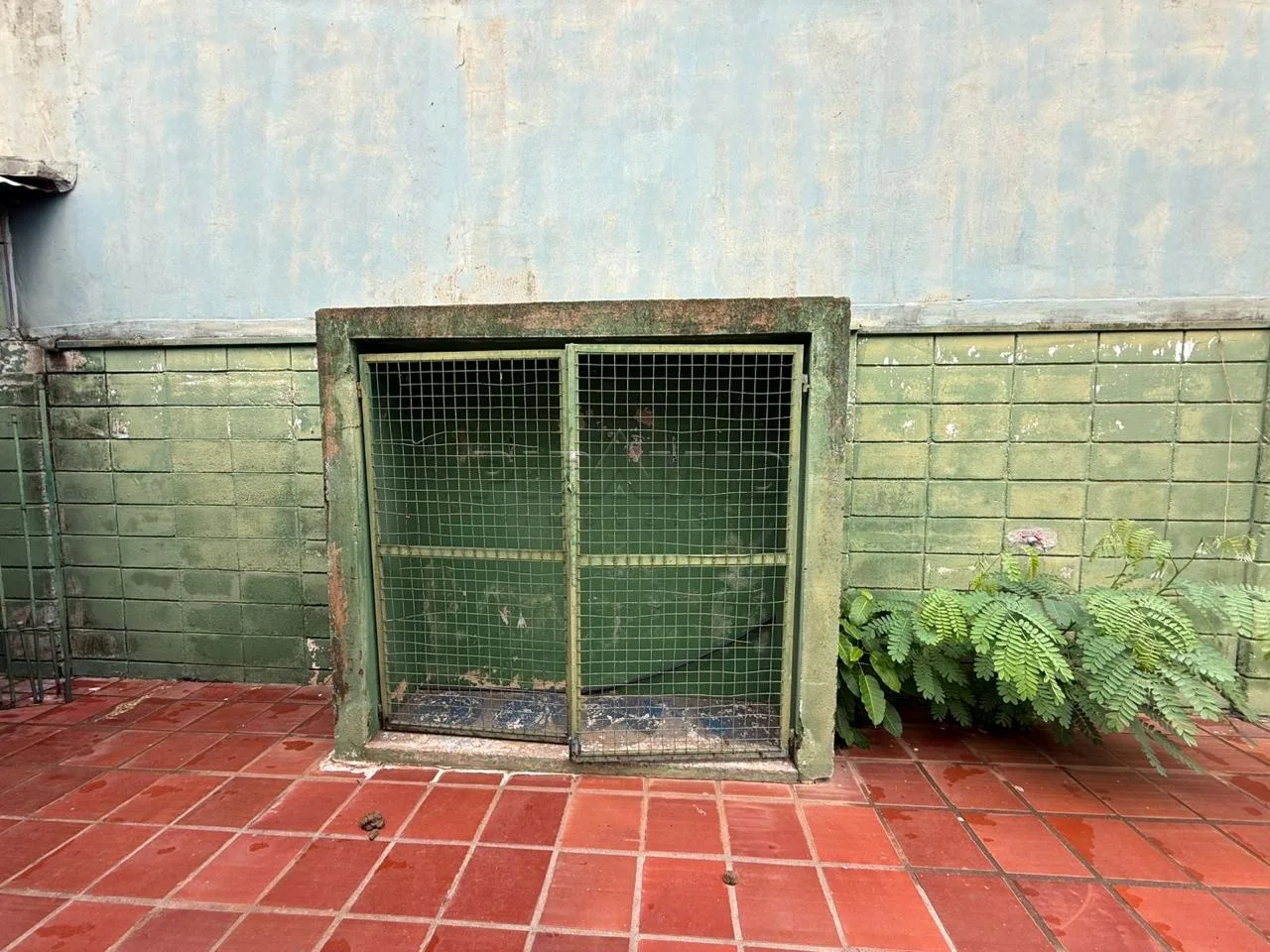 Alugar Comercial / Sal&atilde;o em Ribeir&atilde;o Preto R$ 30.000,00 - Foto 15