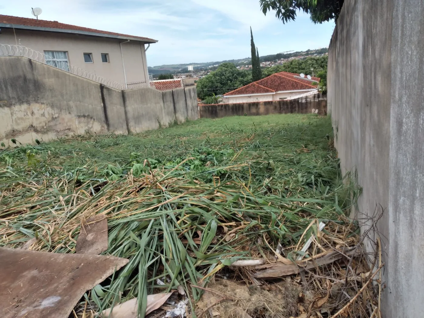 Comprar Terreno / Terreno em Ribeir&atilde;o Preto R$ 300.000,00 - Foto 3