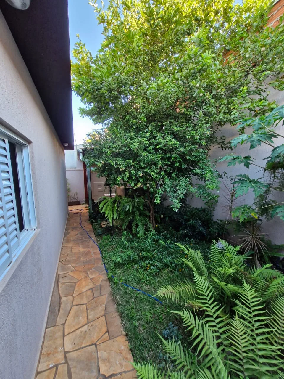 Comprar Casa / Padr&atilde;o em Ribeir&atilde;o Preto R$ 535.000,00 - Foto 19