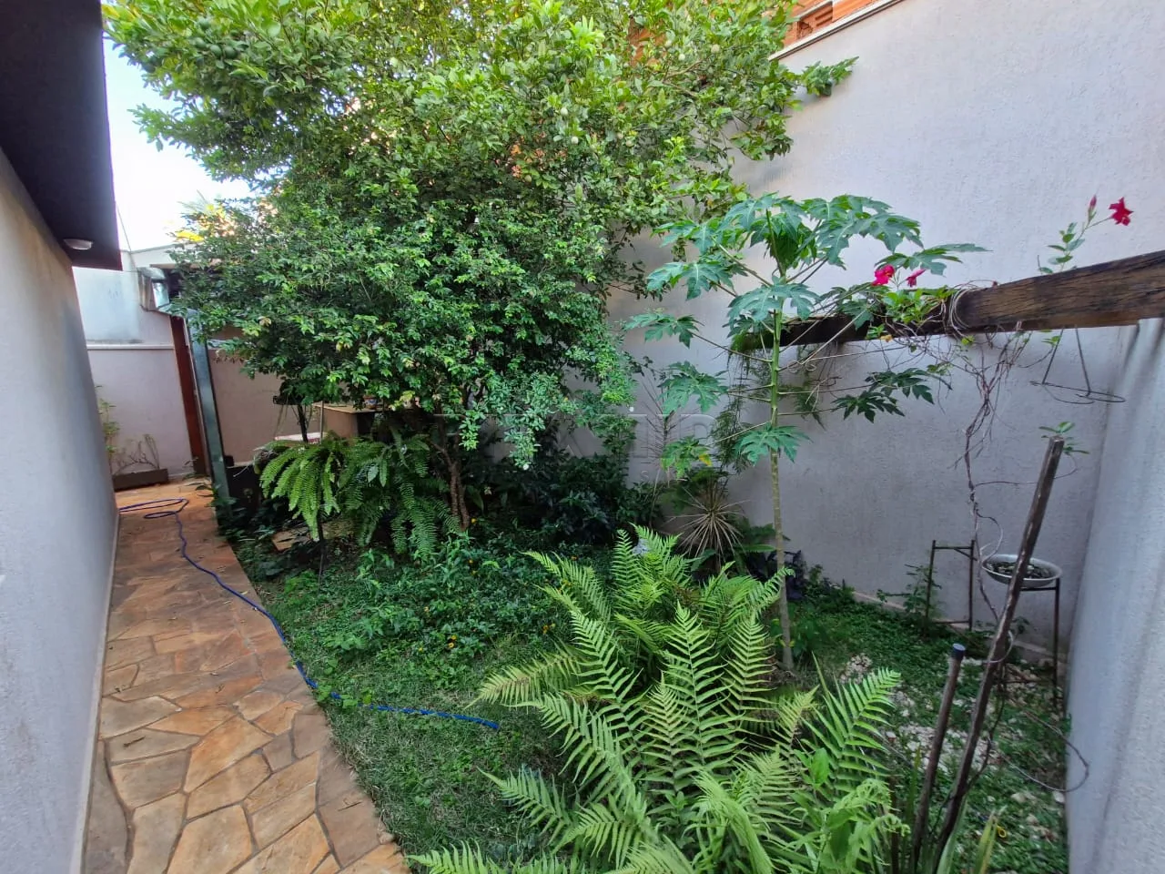 Comprar Casa / Padr&atilde;o em Ribeir&atilde;o Preto R$ 535.000,00 - Foto 20