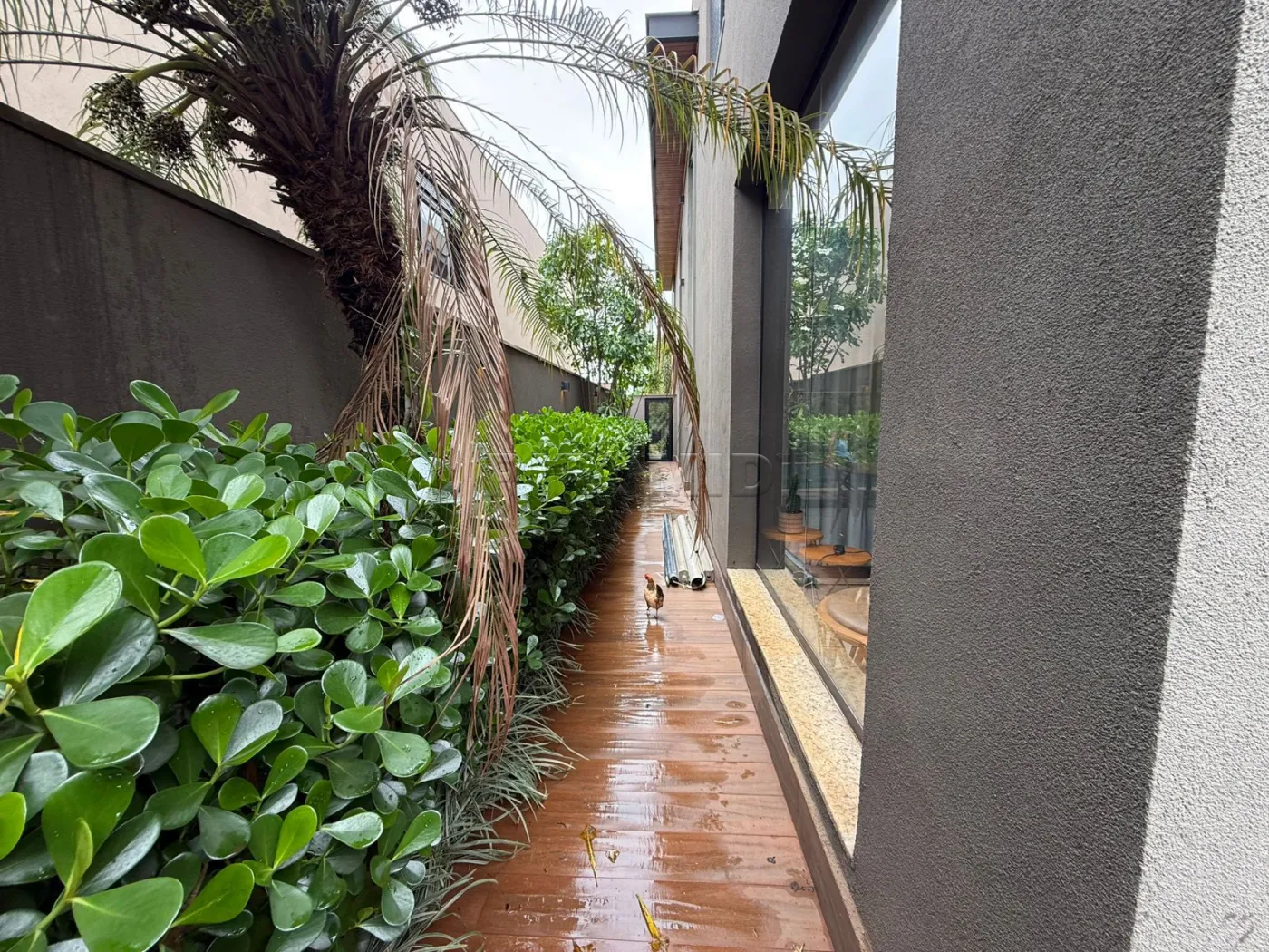 Comprar Casa / Condom&iacute;nio em Bonfim Paulista R$ 3.990.000,00 - Foto 35