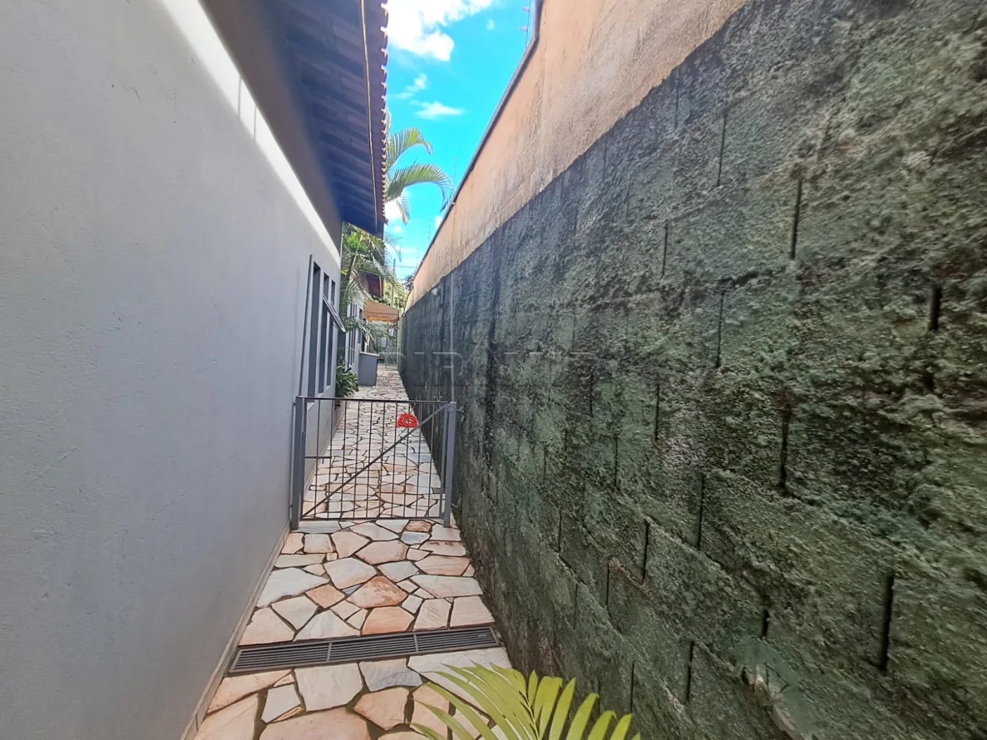 Comprar Casa / Padr&atilde;o em Ribeir&atilde;o Preto R$ 870.000,00 - Foto 61