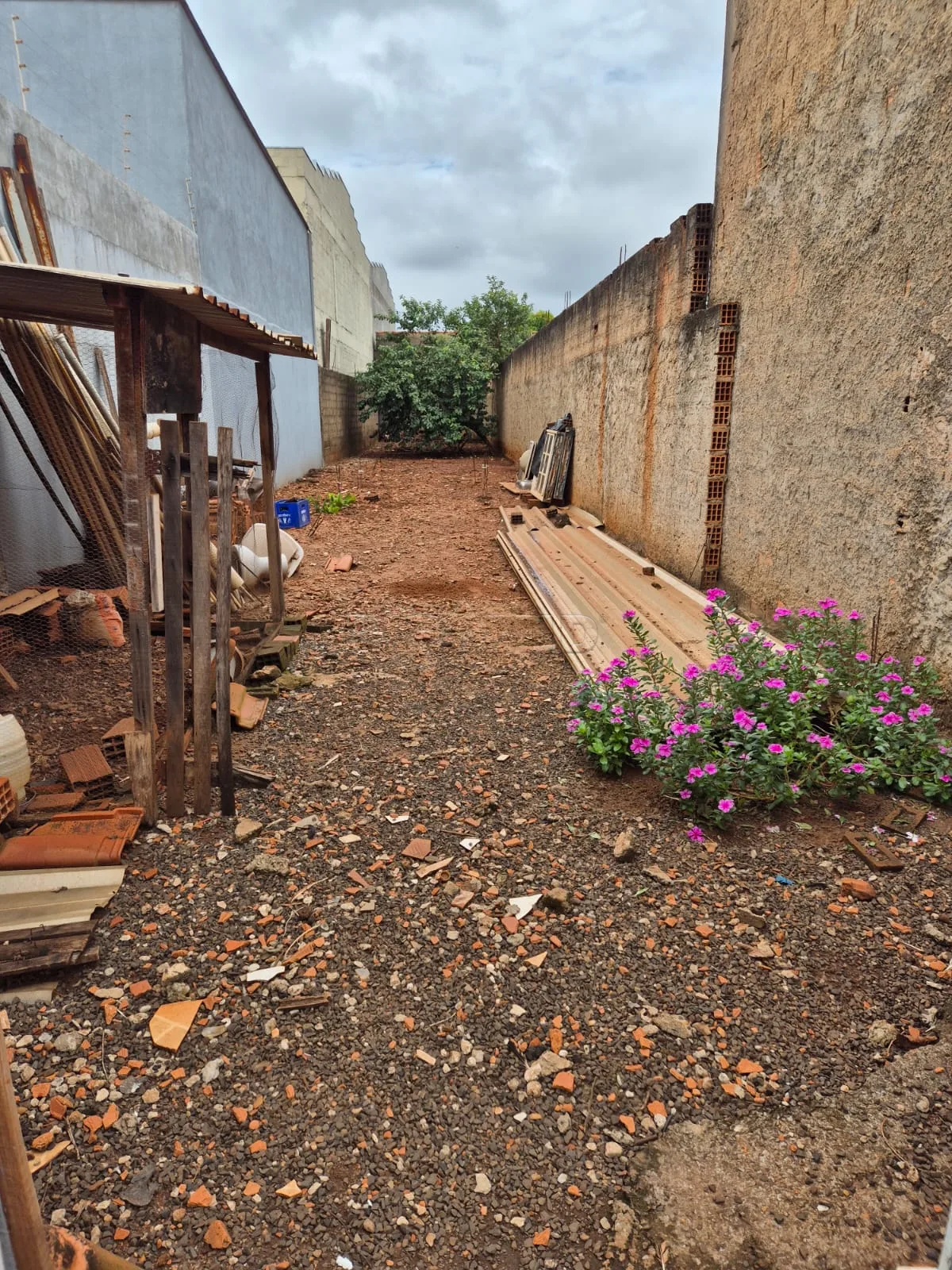 Comprar Casa / Padr&atilde;o em Ribeir&atilde;o Preto R$ 400.000,00 - Foto 19
