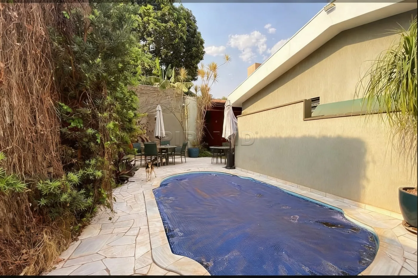 Comprar Casa / Padr&atilde;o em Ribeir&atilde;o Preto R$ 729.999,99 - Foto 21