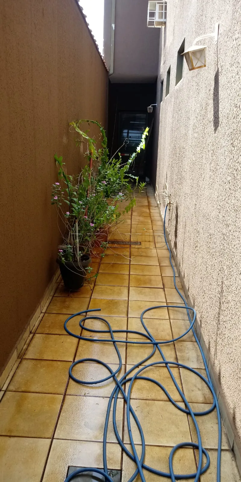 Comprar Casa / Padr&atilde;o em Ribeir&atilde;o Preto R$ 600.000,00 - Foto 25