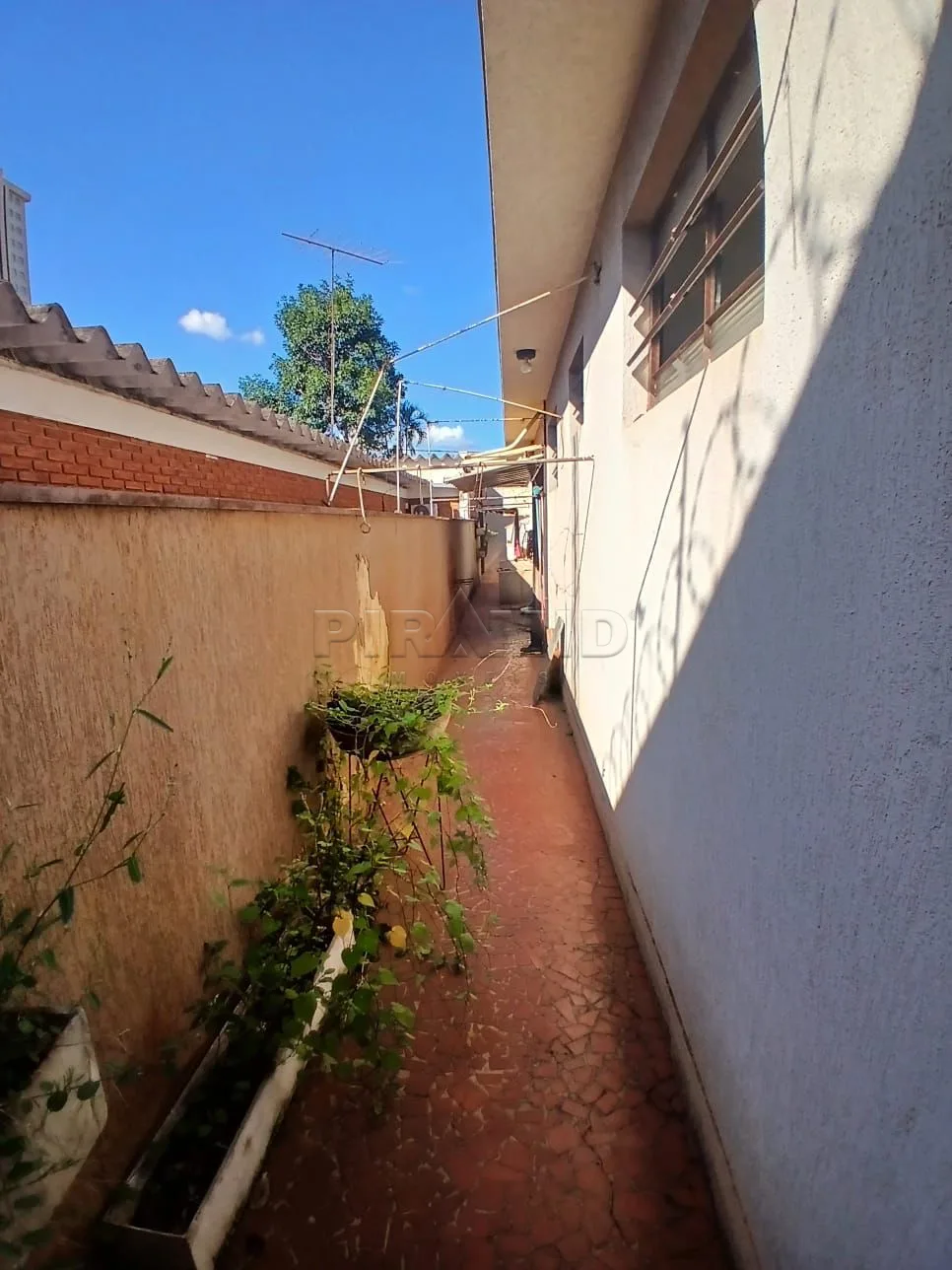 Alugar Casa / Padr&atilde;o em Ribeir&atilde;o Preto R$ 5.000,00 - Foto 20