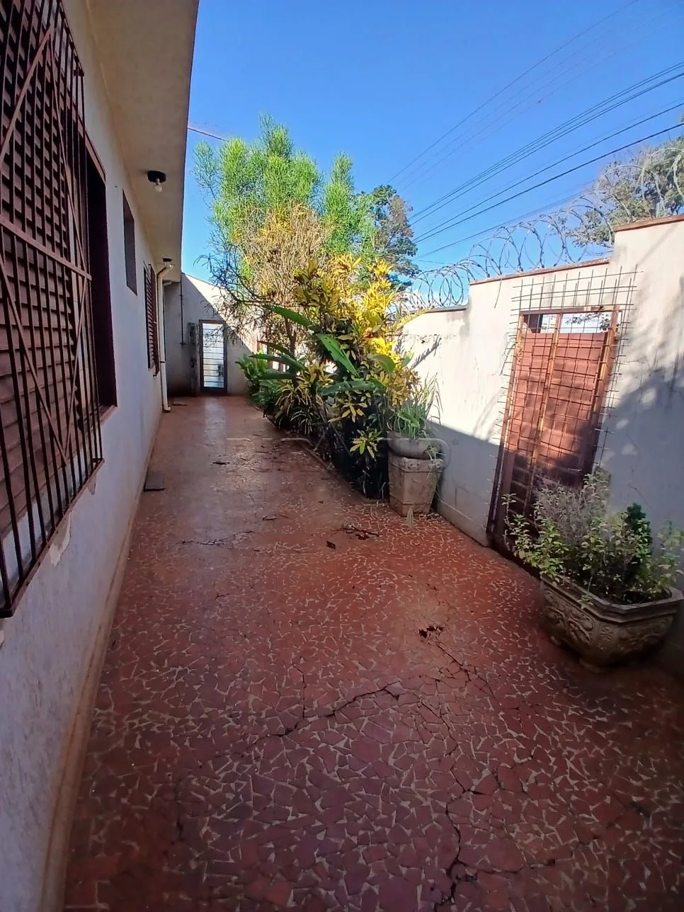 Alugar Casa / Padr&atilde;o em Ribeir&atilde;o Preto R$ 5.000,00 - Foto 24