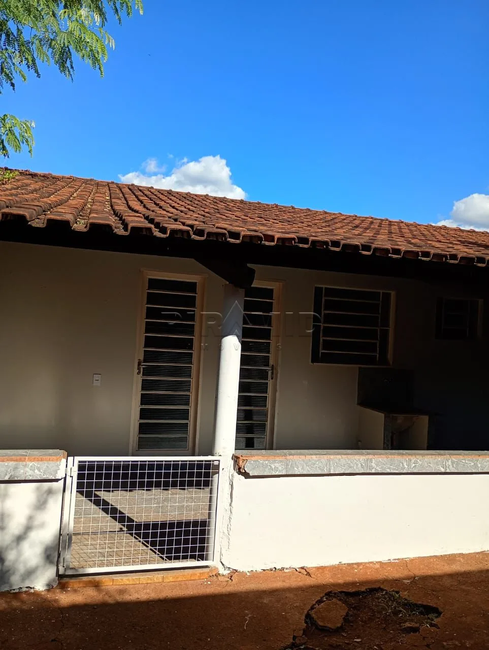 Alugar Casa / Padr&atilde;o em Ribeir&atilde;o Preto R$ 1.000,00 - Foto 1