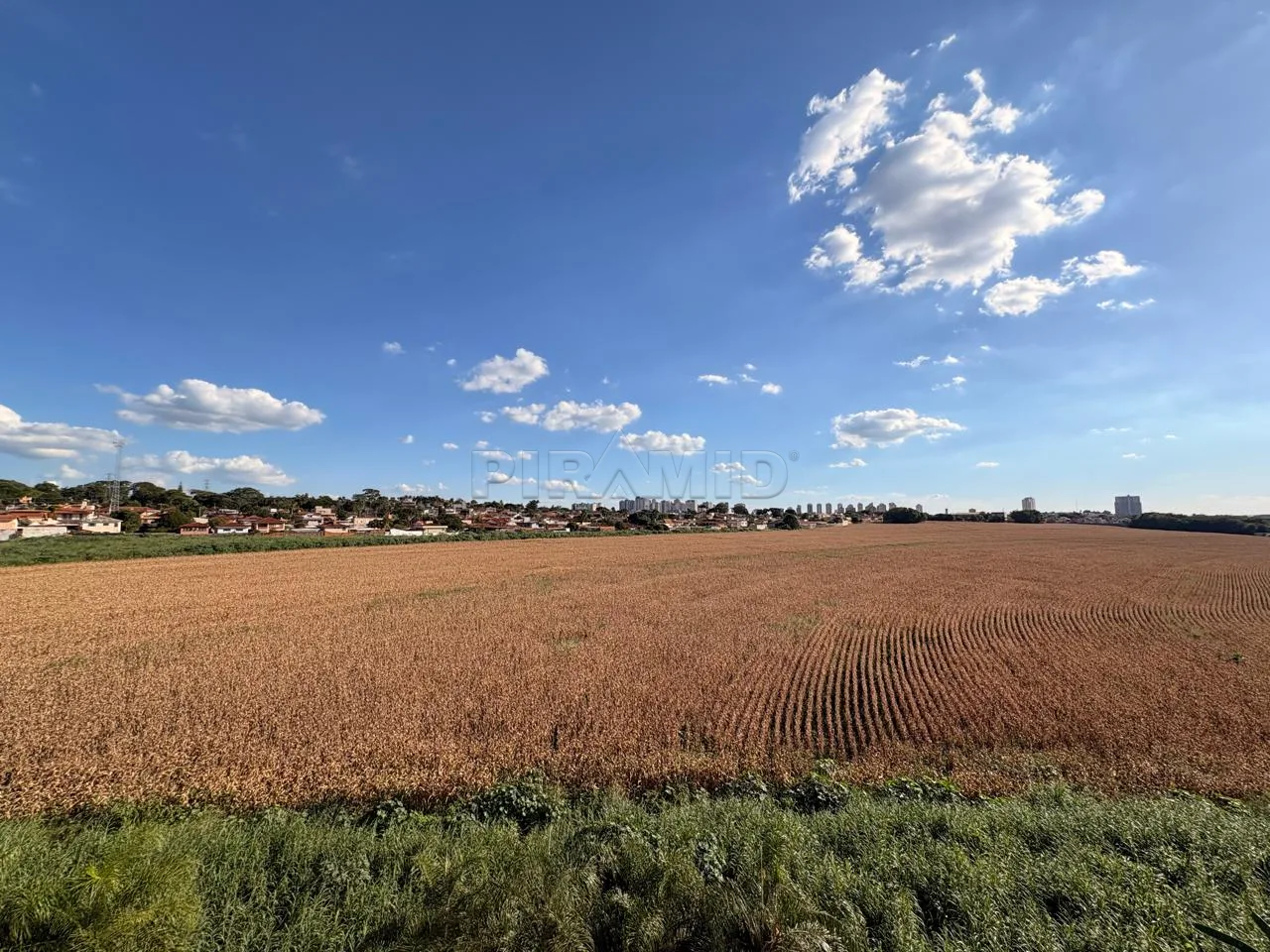 Comprar Apartamento / Padr&atilde;o em Ribeir&atilde;o Preto R$ 280.000,00 - Foto 7