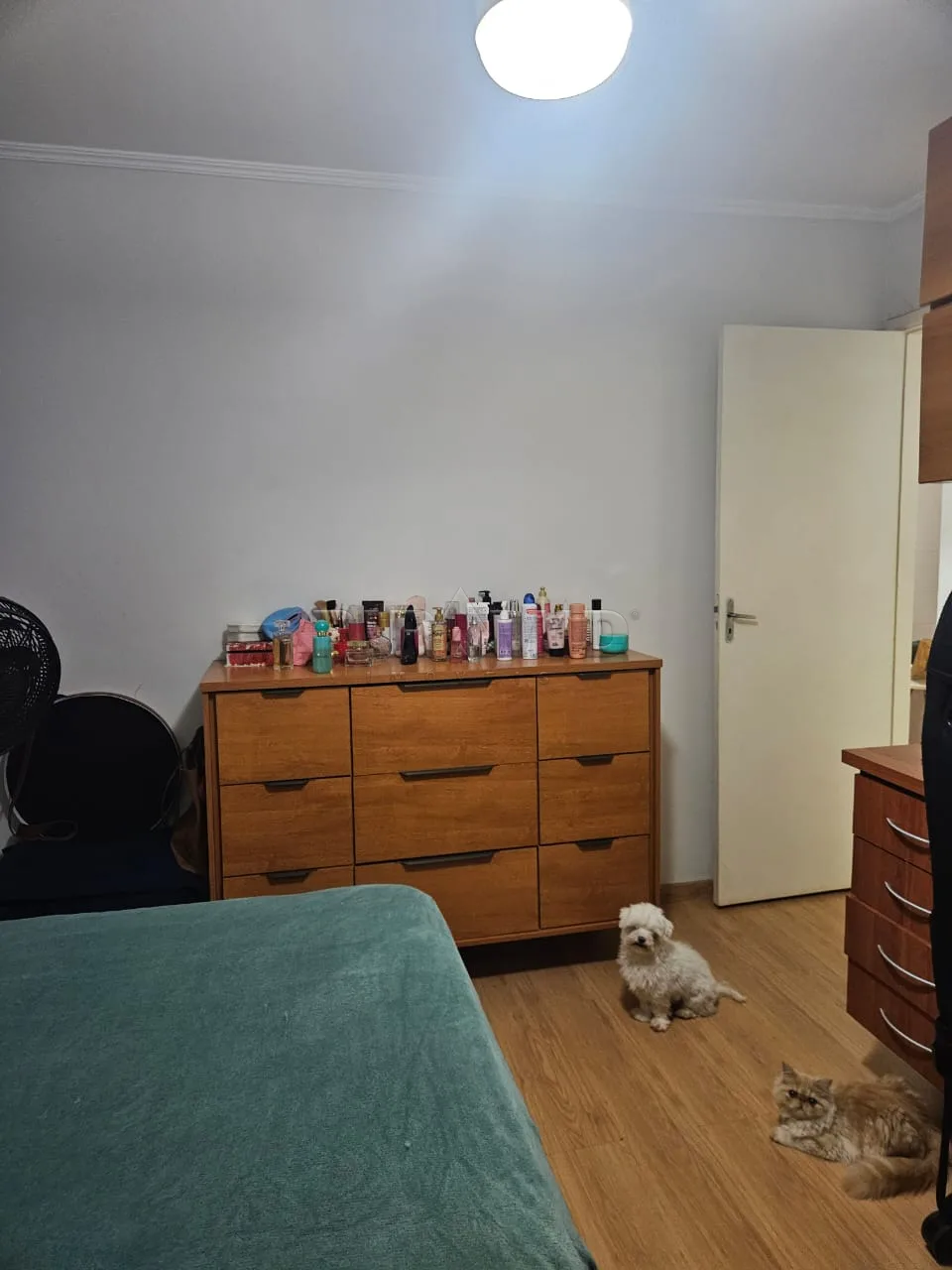 Alugar Apartamento / Padr&atilde;o em Ribeir&atilde;o Preto R$ 1.500,00 - Foto 9