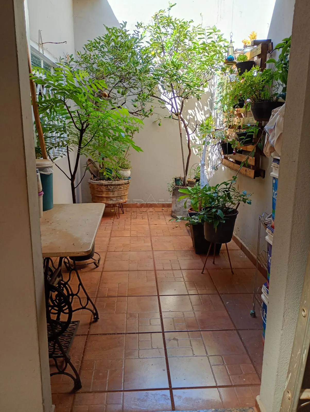 Comprar Casa / Padr&atilde;o em Ribeir&atilde;o Preto R$ 380.000,00 - Foto 17