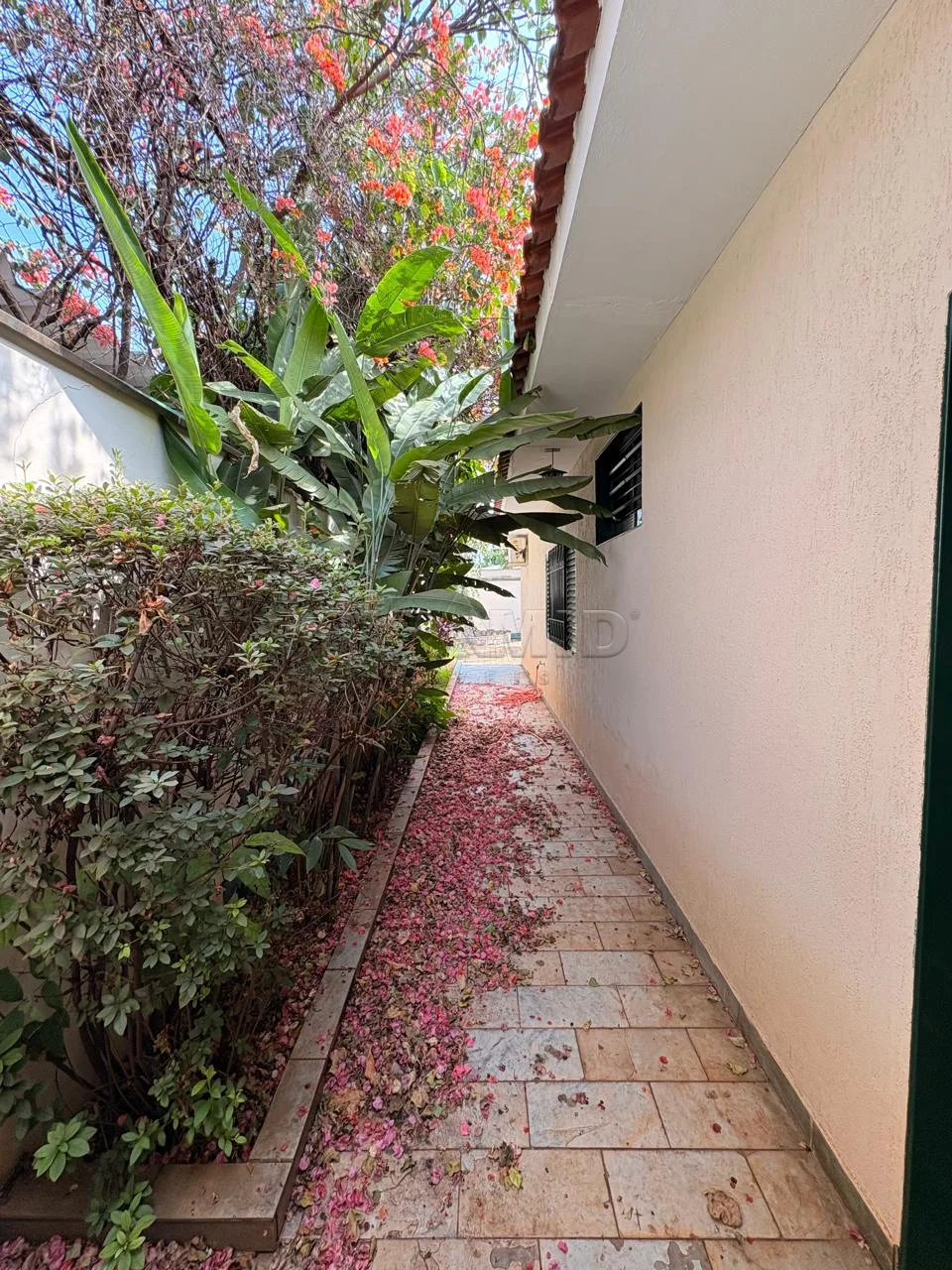 Alugar Casa / Padr&atilde;o em Ribeir&atilde;o Preto R$ 3.800,00 - Foto 26
