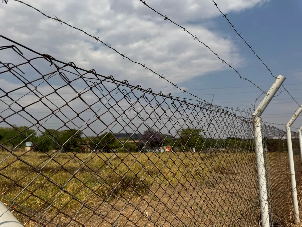Alugar Comercial / Galp&atilde;o  Barrac&atilde;o em Ribeir&atilde;o Preto R$ 30.000,00 - Foto 7
