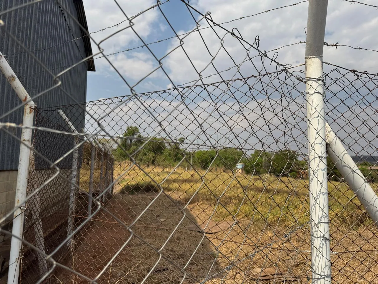 Alugar Comercial / Galp&atilde;o  Barrac&atilde;o em Ribeir&atilde;o Preto R$ 30.000,00 - Foto 10