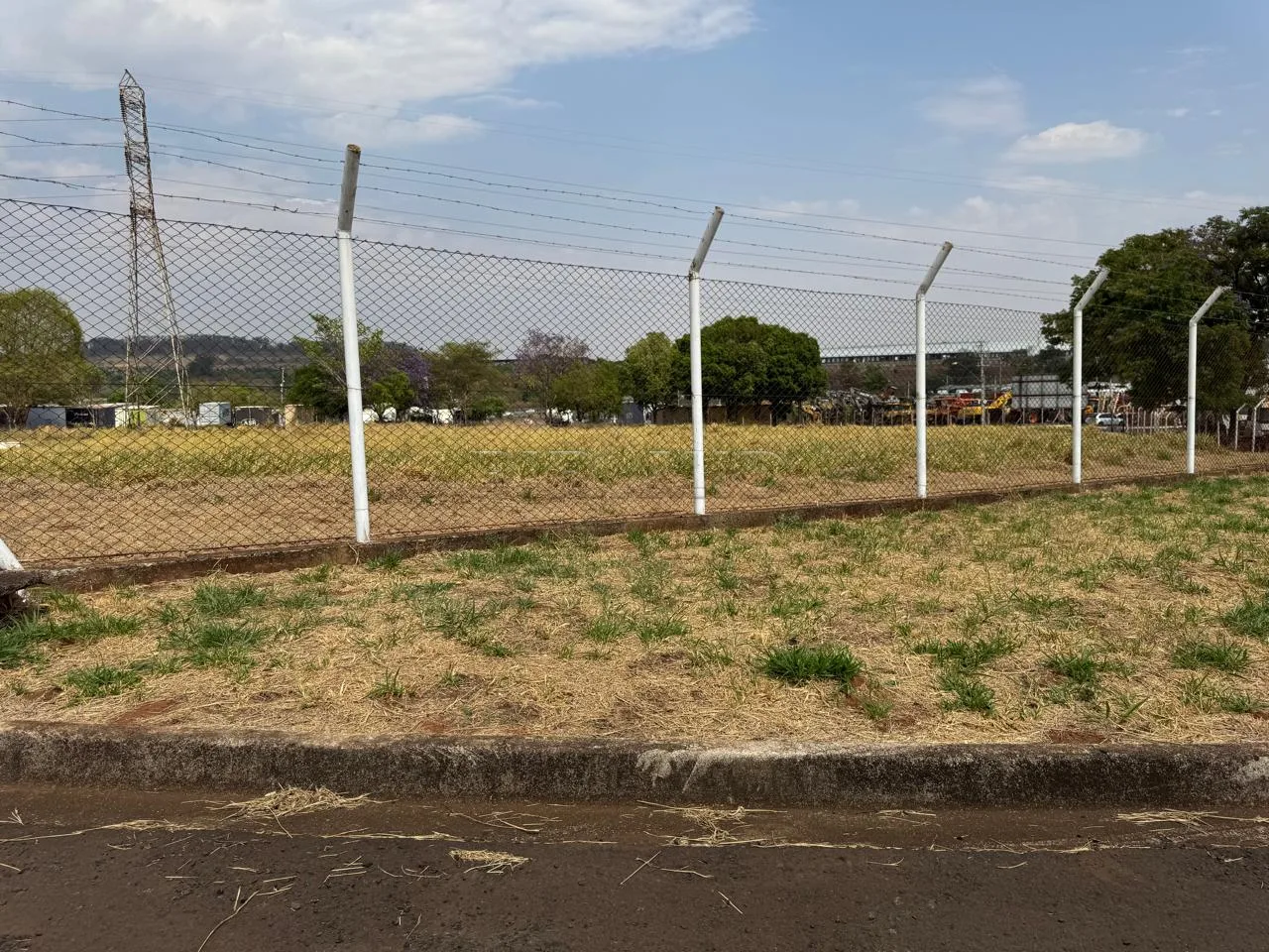 Alugar Comercial / Galp&atilde;o  Barrac&atilde;o em Ribeir&atilde;o Preto R$ 30.000,00 - Foto 13