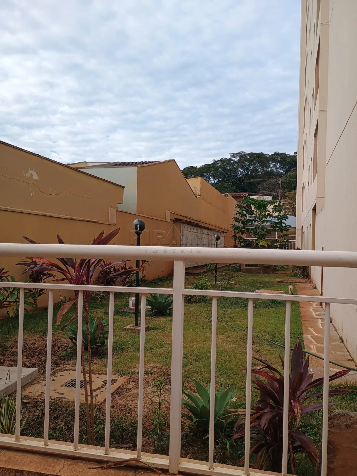 Alugar Apartamento / Padr&atilde;o em Ribeir&atilde;o Preto R$ 1.600,00 - Foto 8