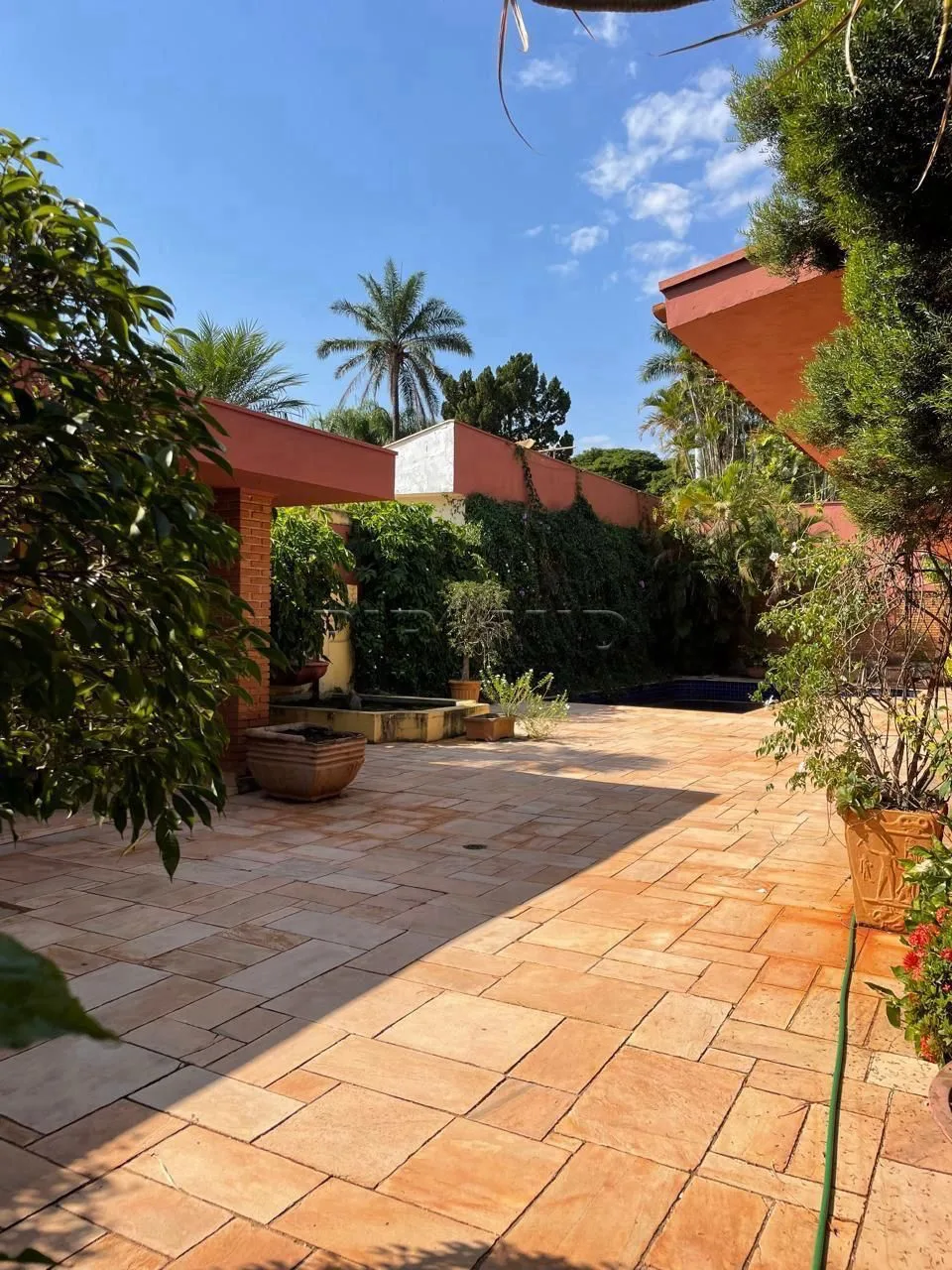 Alugar Casa / Padr&atilde;o em Ribeir&atilde;o Preto R$ 20.000,00 - Foto 3