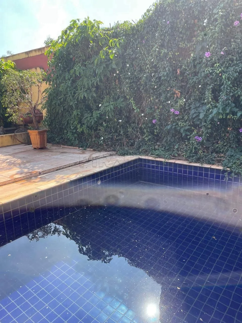 Alugar Casa / Padr&atilde;o em Ribeir&atilde;o Preto R$ 20.000,00 - Foto 39