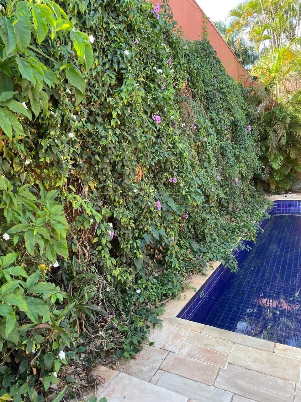 Alugar Casa / Padr&atilde;o em Ribeir&atilde;o Preto R$ 20.000,00 - Foto 43
