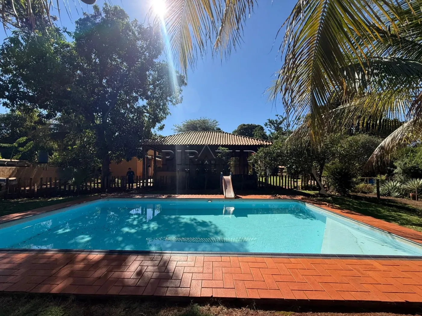 Alugar Rural / Ch&aacute;cara em Jardin&oacute;polis R$ 4.500,00 - Foto 1