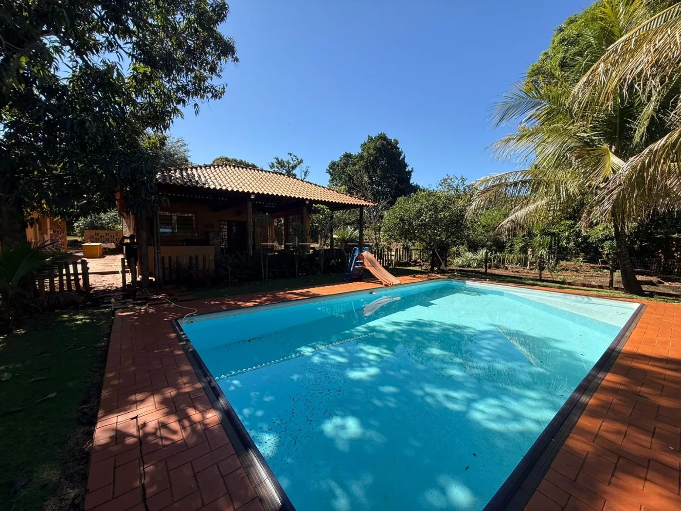Alugar Rural / Ch&aacute;cara em Jardin&oacute;polis R$ 4.500,00 - Foto 2