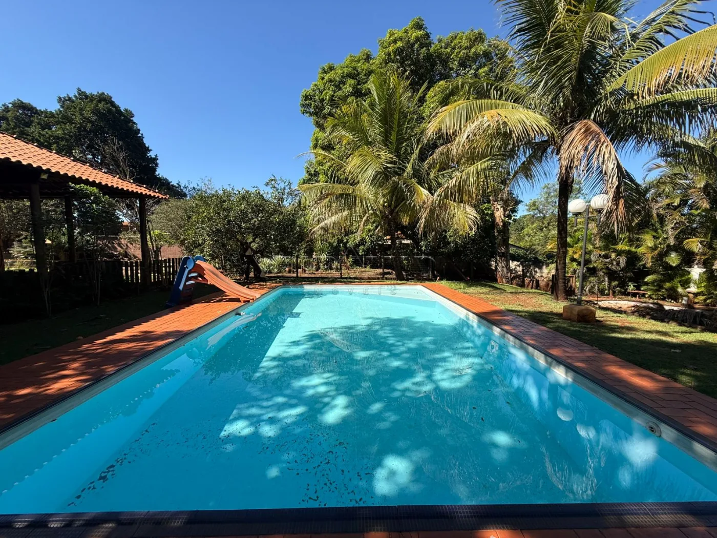 Alugar Rural / Ch&aacute;cara em Jardin&oacute;polis R$ 4.500,00 - Foto 4