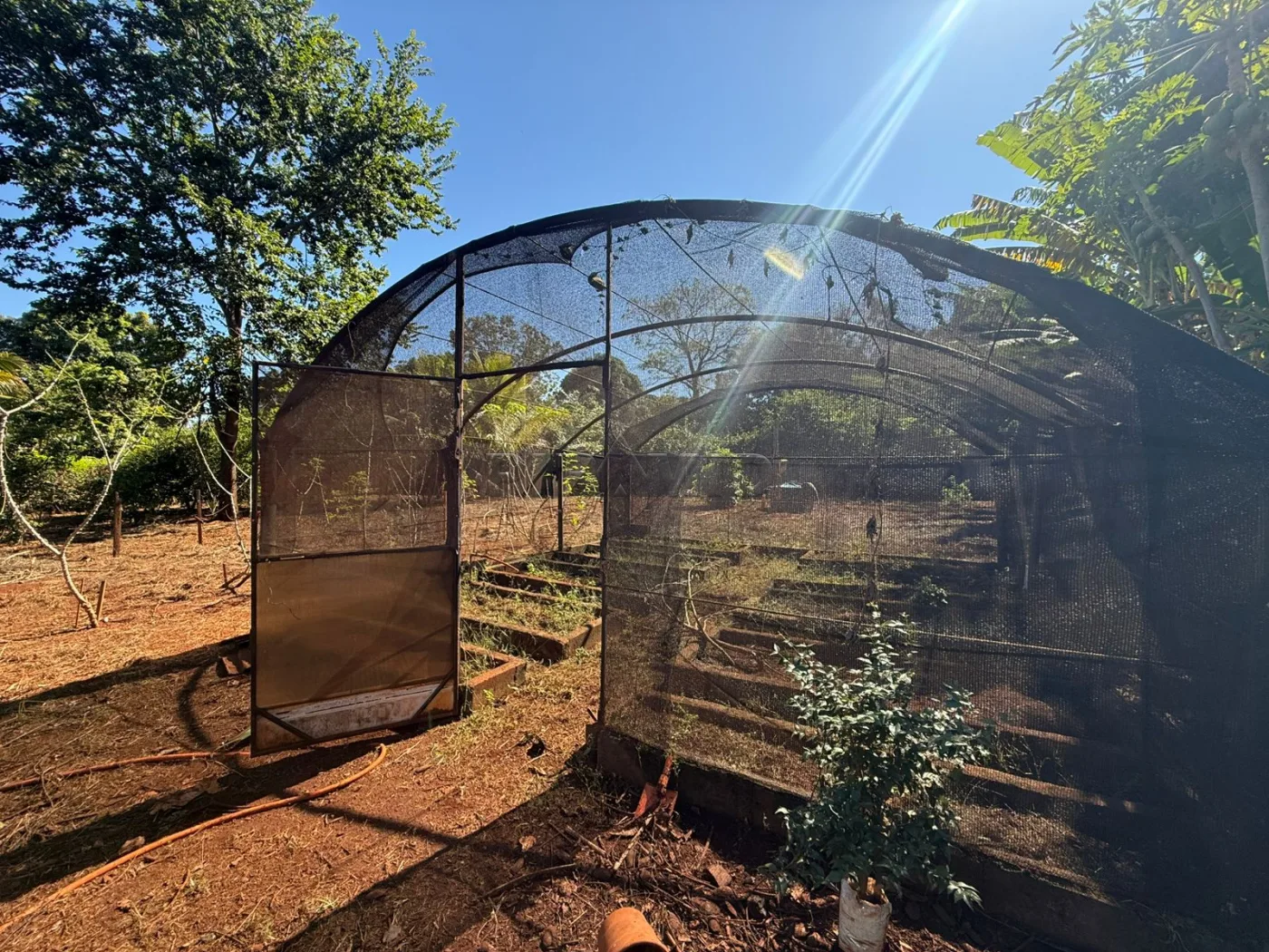 Alugar Rural / Ch&aacute;cara em Jardin&oacute;polis R$ 4.500,00 - Foto 8