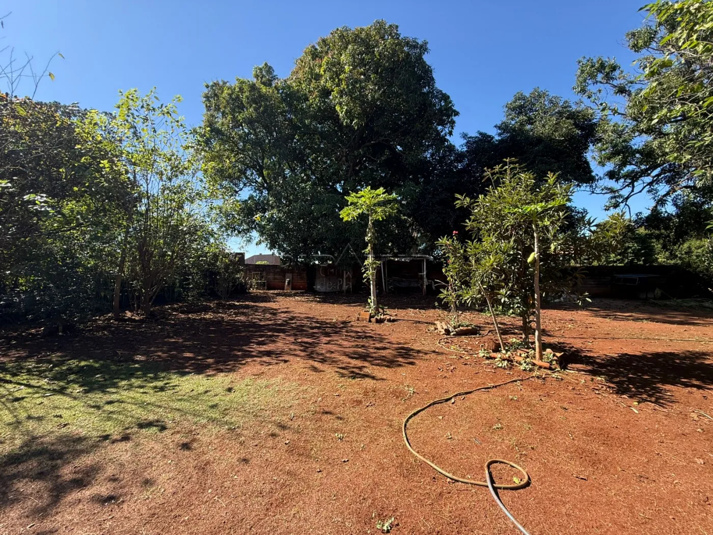 Alugar Rural / Ch&aacute;cara em Jardin&oacute;polis R$ 4.500,00 - Foto 9