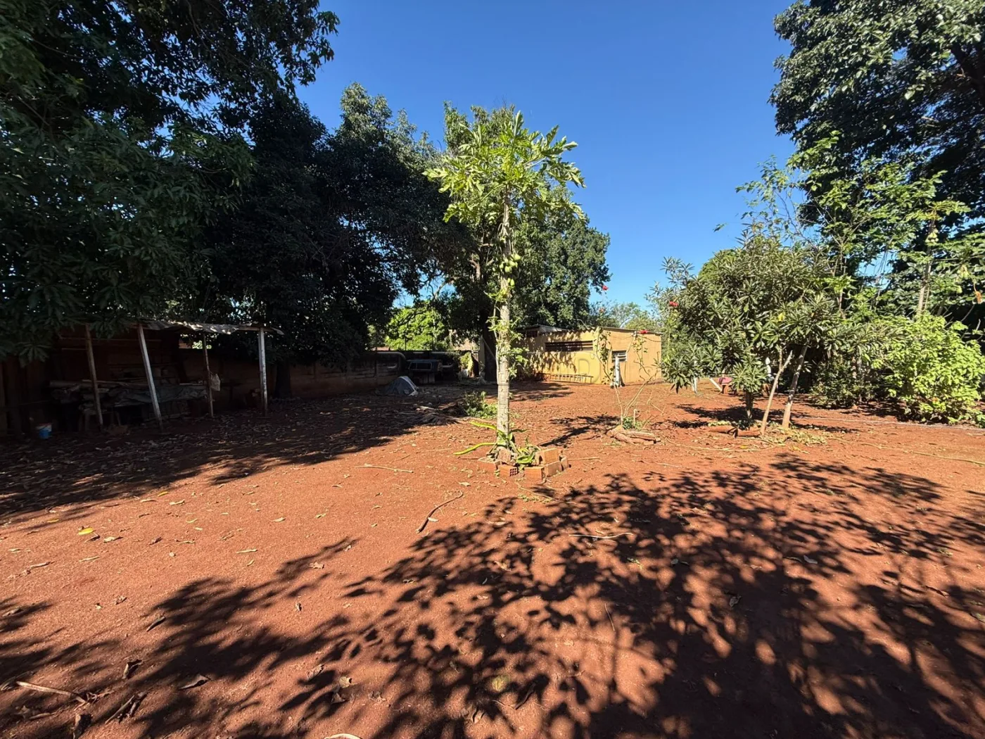 Alugar Rural / Ch&aacute;cara em Jardin&oacute;polis R$ 4.500,00 - Foto 10
