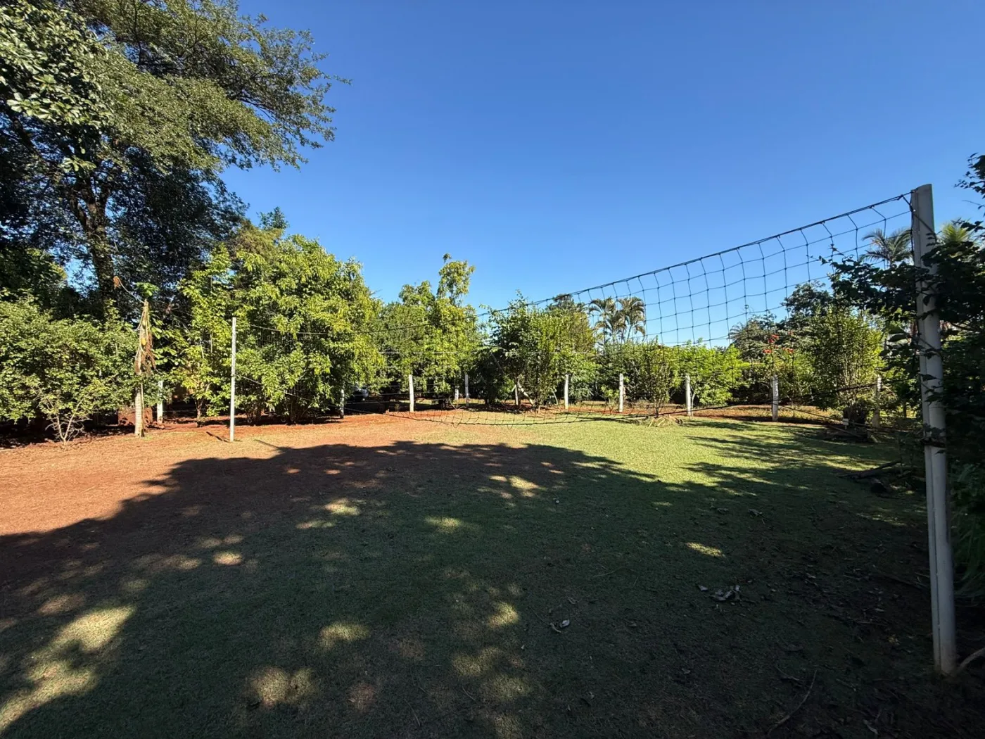 Alugar Rural / Ch&aacute;cara em Jardin&oacute;polis R$ 4.500,00 - Foto 12