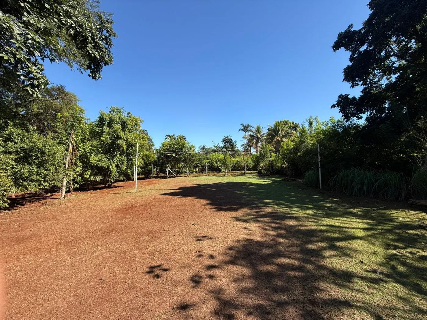 Alugar Rural / Ch&aacute;cara em Jardin&oacute;polis R$ 4.500,00 - Foto 13
