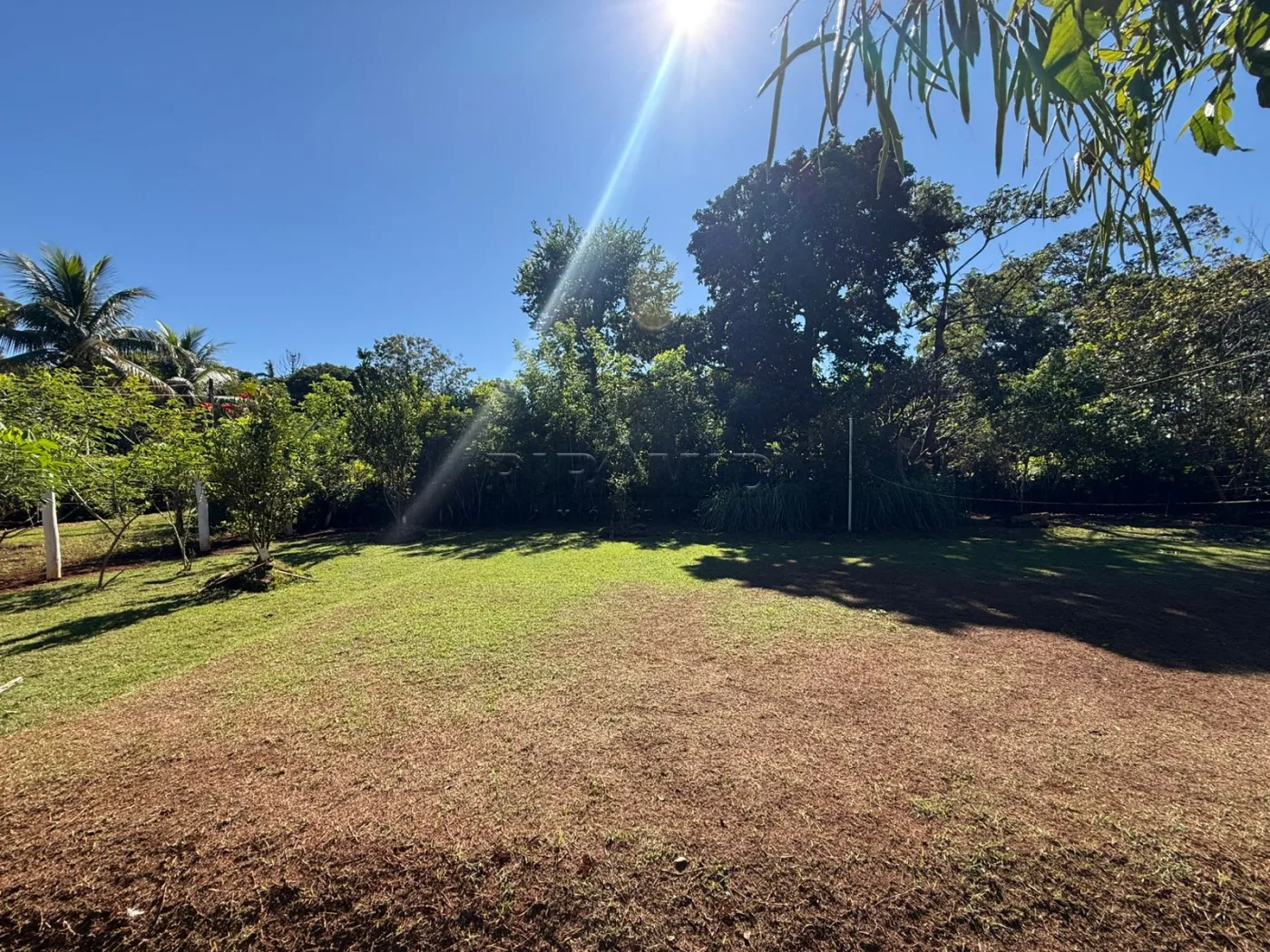 Alugar Rural / Ch&aacute;cara em Jardin&oacute;polis R$ 4.500,00 - Foto 14